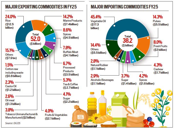 Major Exporting Commodities in FY25