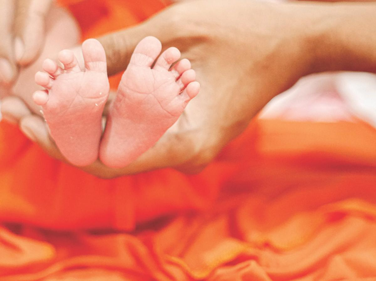 birth rate decline