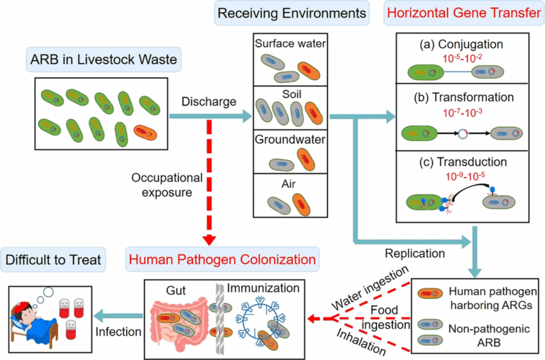 Antimicrobial resistance (AMR)